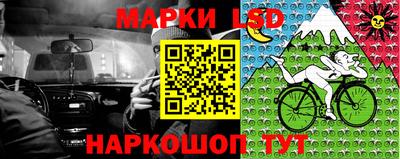 МДПВ Рыбинск