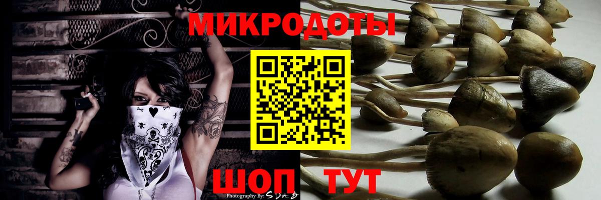 Псилоцибиновые грибы Psilocybe  Вход с VPN  купить   Серов 